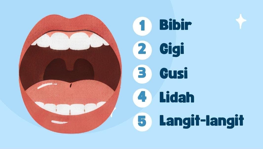 Penyuluhan Kesehatan Gigi dan Mulut Siswa-siswi TK, SD, SMP, SMA Kasih Bagi Bangsa